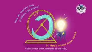 ESB SCIENCE BLAST 2023