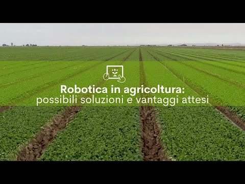 Video: Robot di scambio per i trader del mercato azionario: recensioni