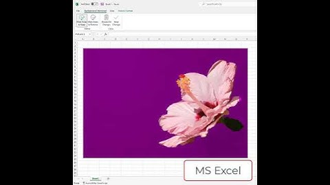 MS Excel Remove Background