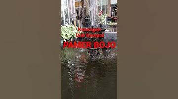 Pamer bojo - didi kempot