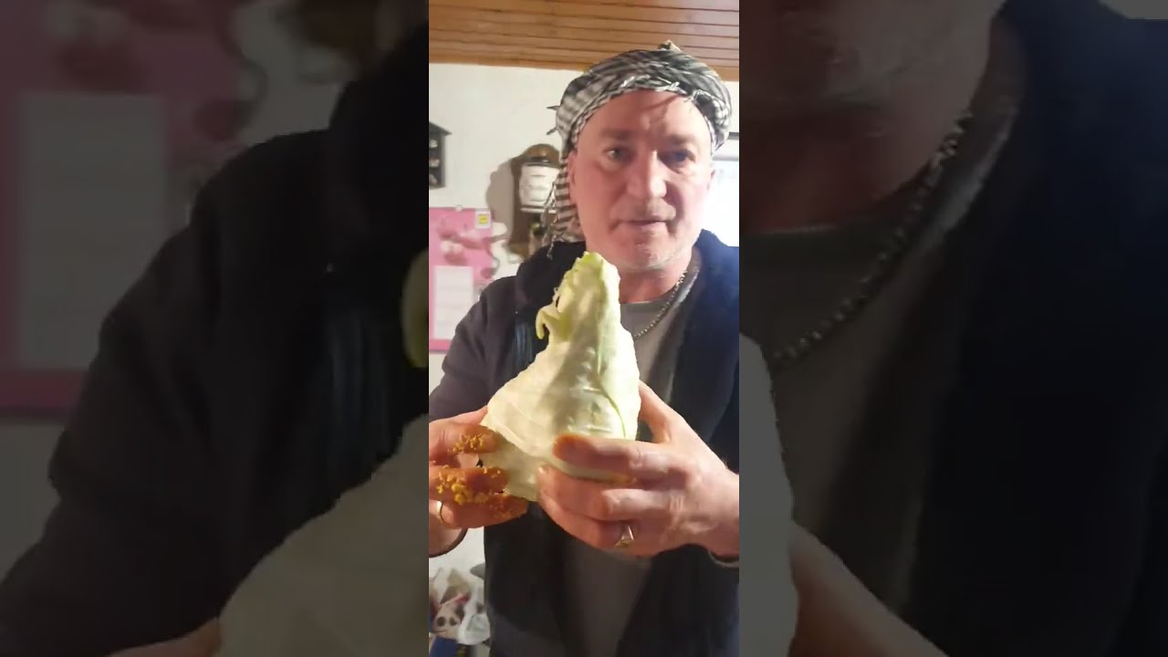 Rabye bouden - صحة الكسكسي ربعون 🍛🍛🍛