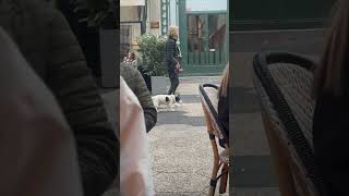 Elderly Woman Walks Dog with Unusual Gait
