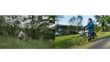 The Curia Way - Integrity