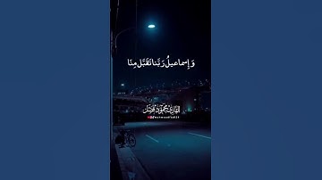 القارئ : محمود فضل 🫀♥️