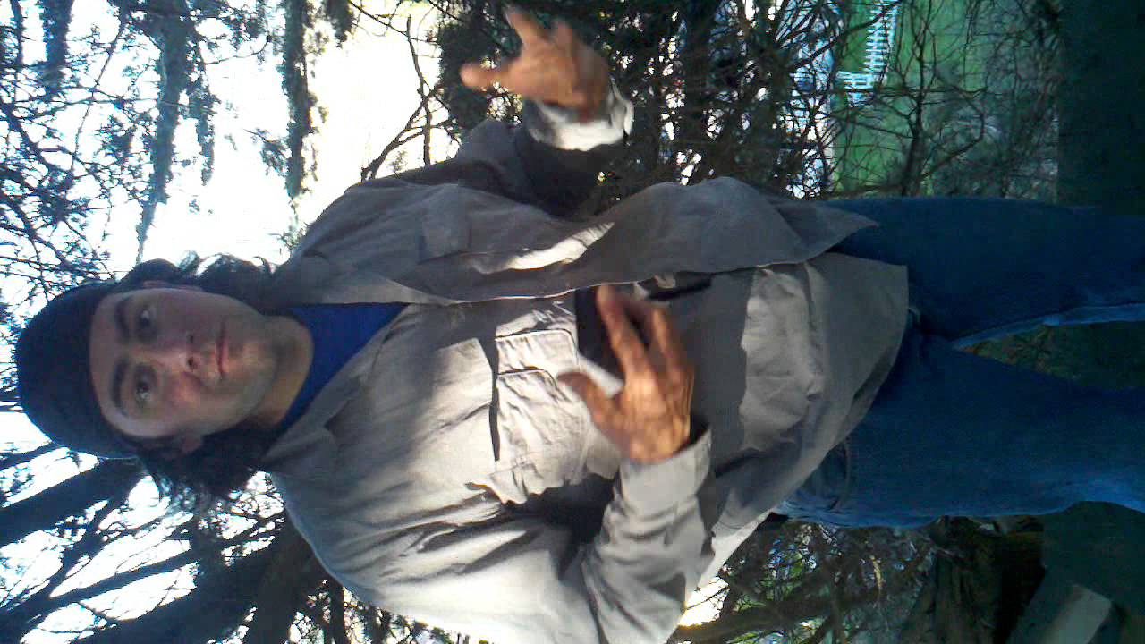 Tree House 75 Feet High