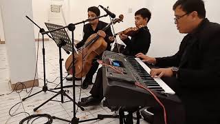 Til There Was You violin Cello U0026 Piano Cover