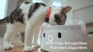 Catlink New Released F03 RFID Pet Feeder Introduction