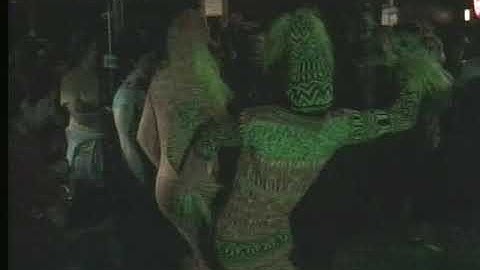 Forcefield Video Collection 2