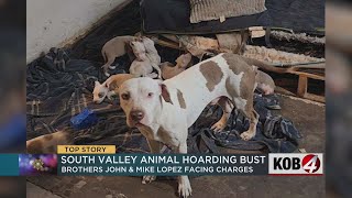 55 dogs, elderly woman rescued: BCSO provides update on animal hoarding case