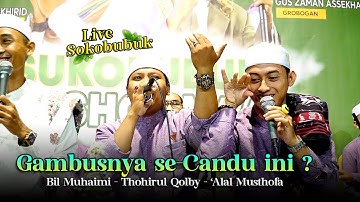 EMANG BOLEH GAMBUSAN SE-CANDU INI ? 😱 BIL MUHAIMINI - THOHIRUL QOLBY - 