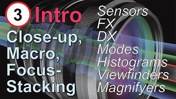 Macro Basics: Close-up, Macro Photography, and Focus Stacking, Part 3