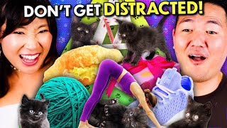 Try Not To Get Distracted By Kittens While Doing Simple Tasks!