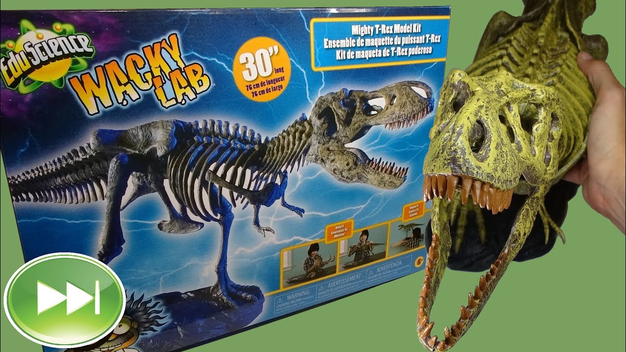 Guajave Tyrannosaure Rex Squelette Dinosaure Animal Collector Decor Model Toy 