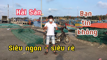 Hành Trình Khám Phá Bến Cảng Cá Bình Châu