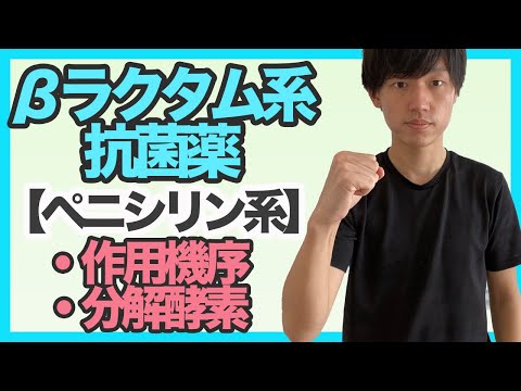 【ペニシリン系抗菌薬-前半】βラクタム系抗菌薬の超重要知識とペニシリン系前半講義。抗菌薬は絶対に得点源にできる！