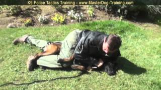 K9 Police Tactics  Dog Training - Master Dog Training Center