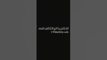 الشيخ #علي_جابر #سورة_الكهف