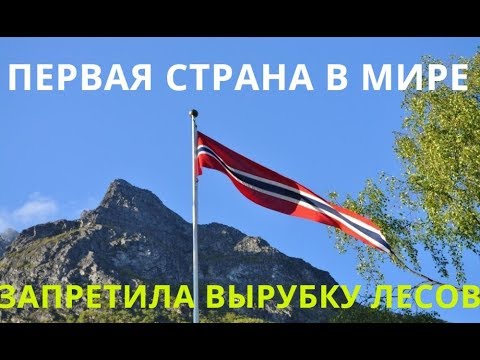 самая первая страна в мире запретившая вырубку лесов