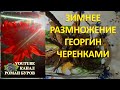 Как размножать георгины  черенками. Подготовка корня георгина к проращиванию. Далия Георгин.