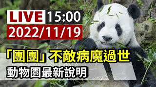 【完整公開】LIVE 「團團」不敵病魔過世 動物園最新說明