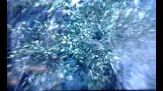 Random T hawk kill, x KreaTe (GT) got this kill
