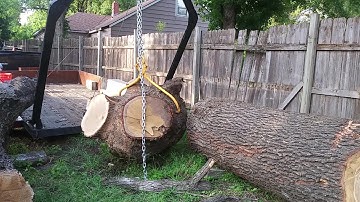 My Urban Logging Trailer