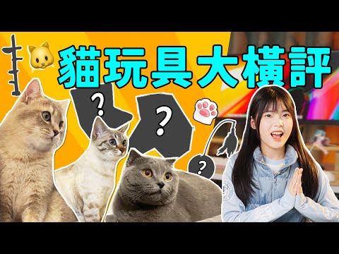 這些年我給貓貓買過的玩具！🐈🐱怎麼這麼可愛!!｜大狸子切切裡