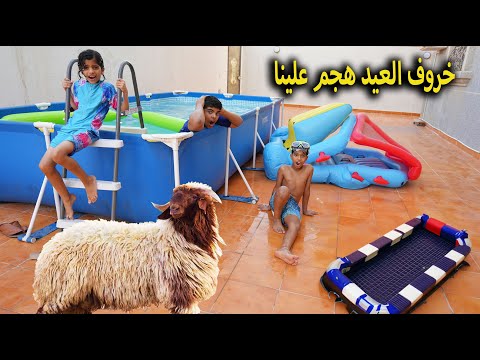 خروف العيد هجم علينا سوينا أحلى تجهيزات للعيد