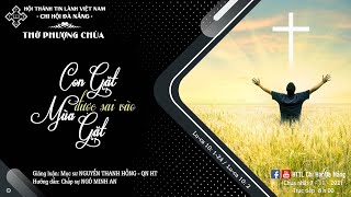 HTTL ĐÀ NẴNG - Chương Trình Thờ Phượng Chúa - 07/11/2021