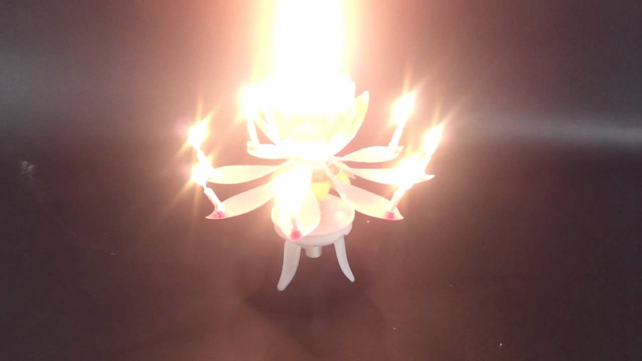 515 Musical Birthday Flower Candle YouTube