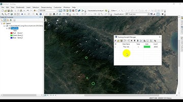 3.3 Phân loại có kiểm định