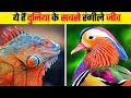 खूबसूरती ऐसी कि आप देखते रह जाएंगे  | Most Colorful Animals In The World