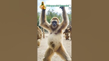 Brainrot in Real Life Be Like... #brainrot #tungtungtungsahur #anomaly #brainrotanimals #shorts