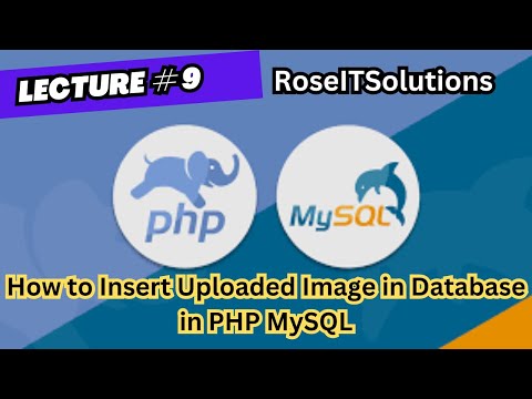 Lecture # 9 How to Insert Uploaded Image in Database in PHP MySQL
