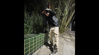 Playboi Carti  Start Dying prod Miyokibeats