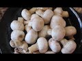 मशरूम की सब्जी बनाने का सही तरीका - Mushroom Masala - Mushroom Ki Sabji - Mushroom Recipe in Hindi
