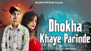 DHOKHA KHAYE PARINDE | SLOW   REVERB | AJESH KUMAR DEEPAK RUDH AALA | NEW HR TOP SAD SONGS 2024 SAD