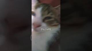 Very Coquette Video Must Watch Ft. Lady Cali