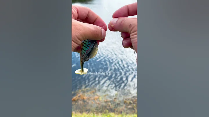 how to tie the uni knot #urbanfloridafishing #floridafishing #fishingtutorial #fishinghowto