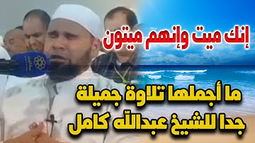 Quran by Sheikh Abdullah Kamel | انك ميت وانهم ميتون | تلاوة تذيب القلب للشيخ عبدالله كامل