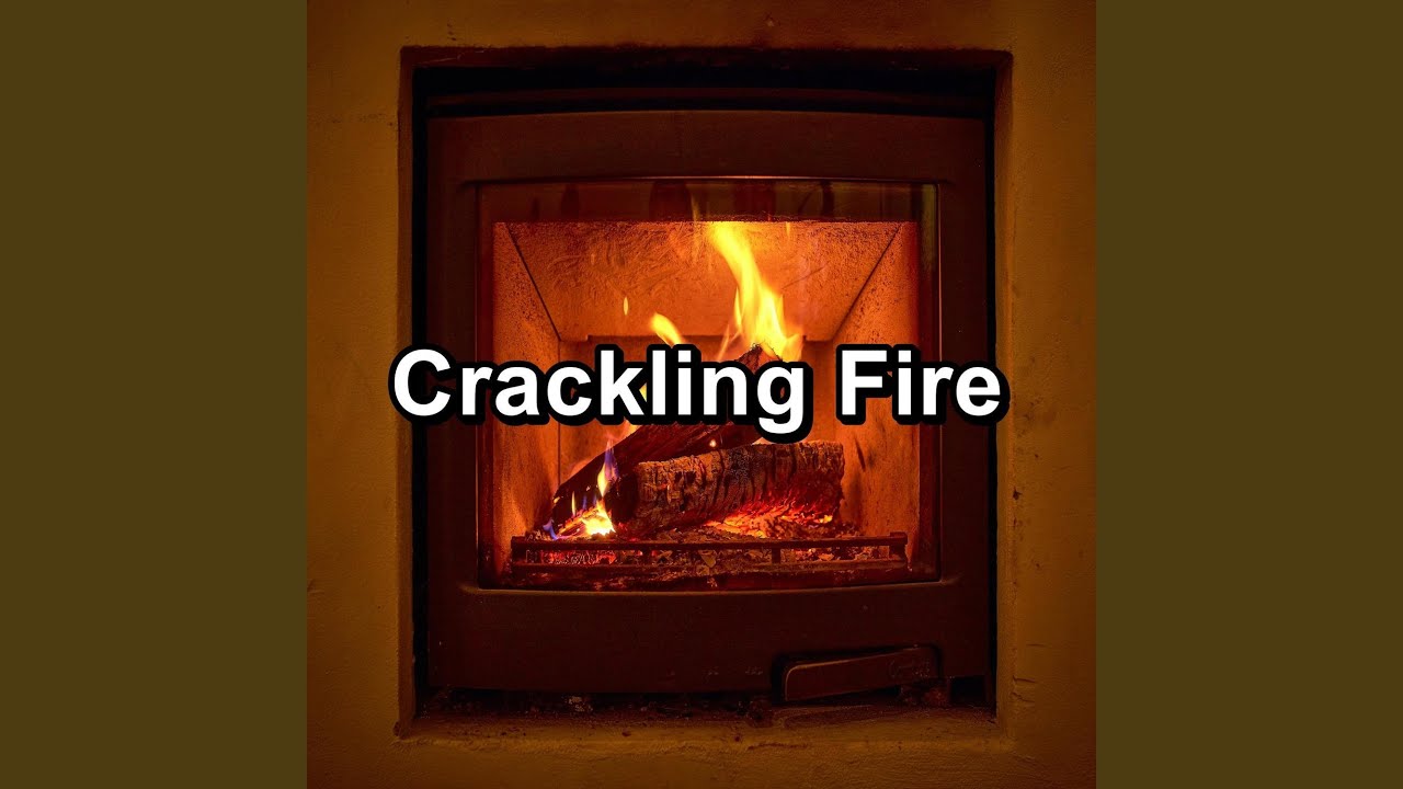 Cozy Campfire in the Forest Instant Rest for Babies YouTube