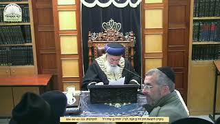 מרן הראשל"צ הגאון רבי שלמה משה עמאר, פרשת בהר בחוקותי תשפ"ו, עמל התורה, ממית עצמו עליה וללא יאוש.