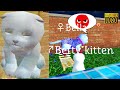 Cute pocket cat 3d game review 1080p official pocket games entertainment