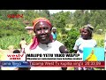Wakazi Wa Luhokho Wadi Ya South Kabras Wadai Malipo Yao Kutoka Kwa Mkandarasi Aliyewapa Ajira Wakazi Wa Luhokho Wadi Ya South Kabras Wadai Malipo Yao Kutoka Kwa Mkandarasi Aliyewapa Ajira