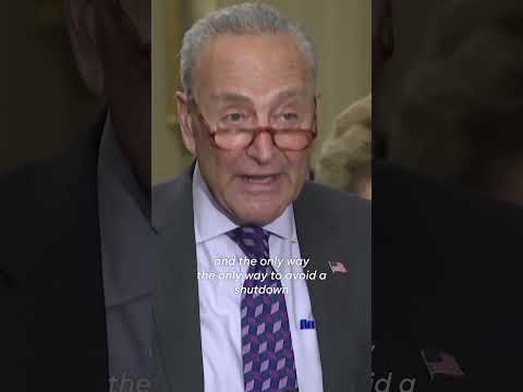 Chuck Schumer begs House to agree to bipartisan deal to avoid shutdown #Shorts