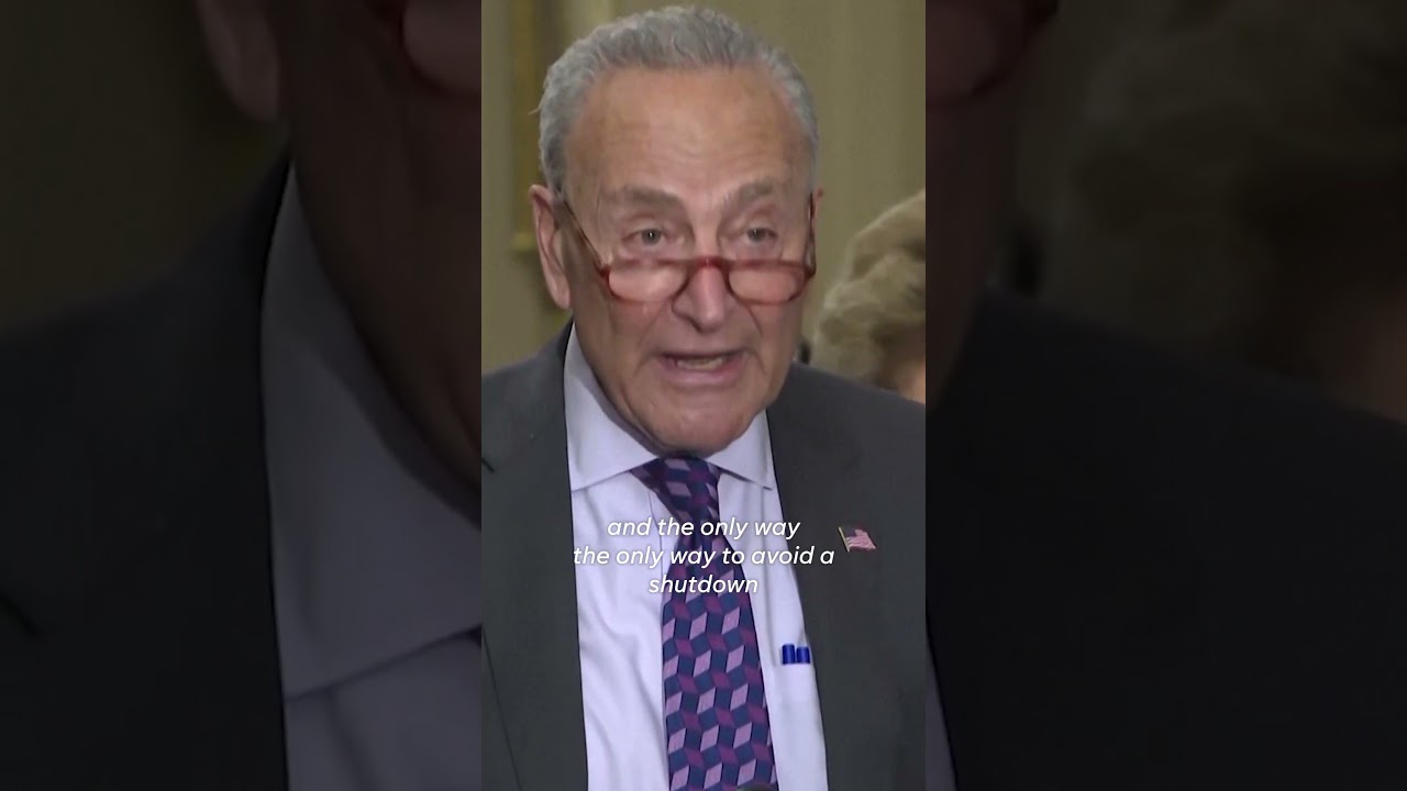 Chuck Schumer begs House to agree to bipartisan deal to avoid shutdown #Shorts