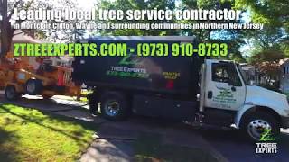 Z Tree Experts - NJ Residential Tree Removal Service