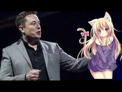 Elon Musk Promised us Cat Girls! 