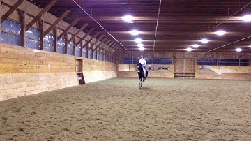 12 Nov Lesson with Kim - Canter Half Pass Exercise