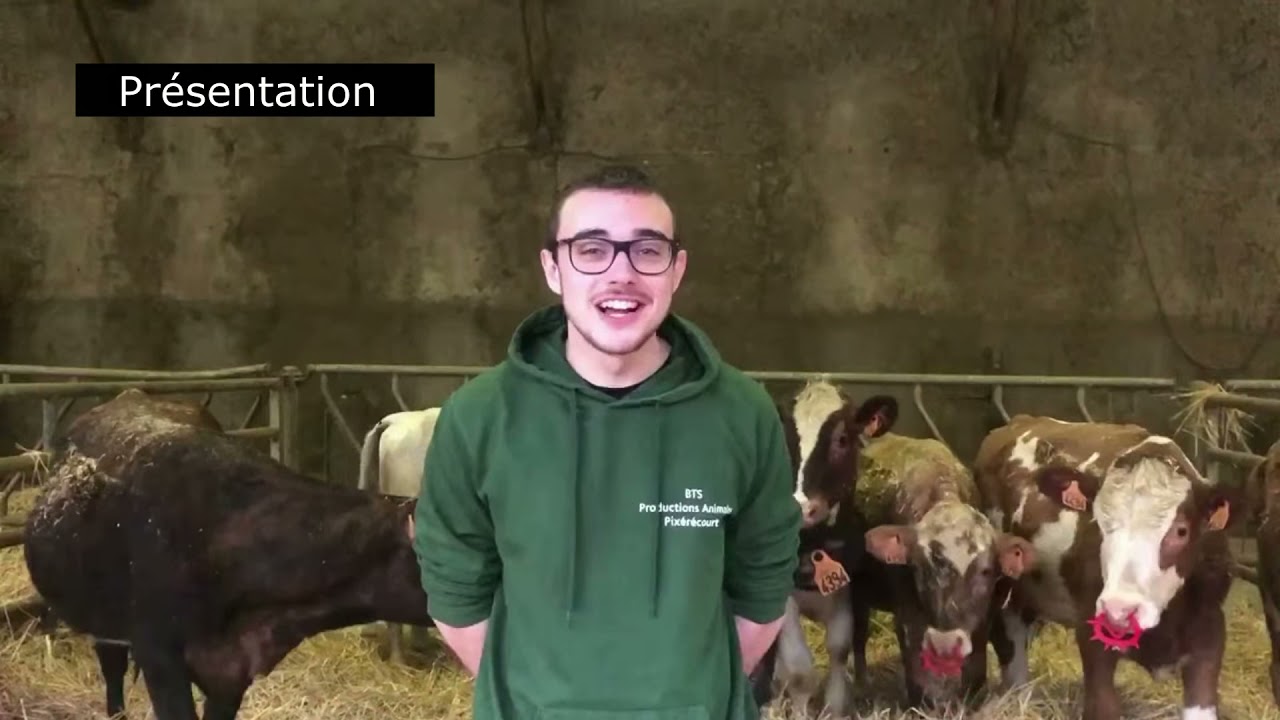 tout savoir sur le Bts PA